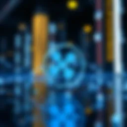 Illustration representing the RippleNet framework in cryptocurrency